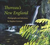 Thoreau's New England